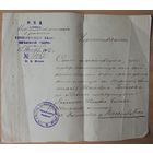 Удостоверение жительницы Климовичского уезда Могилевской губернии, 1917 г.