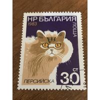 Болгария 1983. Породы кошек. Персидская. Марка из серии
