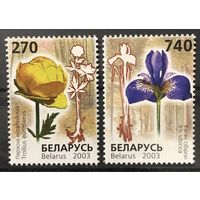 2003 Редкие виды цветов, занесенные в Красную книгу Беларуси