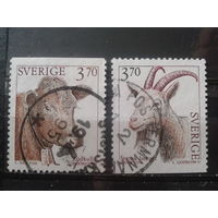 Швеция 1995 Домашние животные
