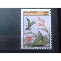 Колумбия 1985 Птицы** Михель-4,0 евро