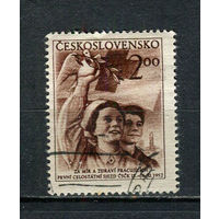 Чехословацкая Социалистическая Республика - 1952 - Красный крест 2К - [Mi.770] - 1 марка. Гашеная.  (Лот 50EJ)-T2P17