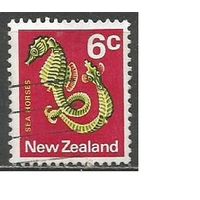 Новая Зеландия. Рыбы. Морской конёк. 1970г. Mi#524.