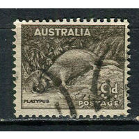 Австралия - 1937/1949 - Утконос 9Р - [Mi.147C] - 1 марка. Гашеная.  (Лот 14EX)-T25P1