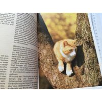 Книга на немецком языке про кошек 1987г 172стр Много интересных и забавных иллюстраций фото в ретро стиле