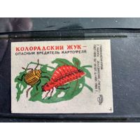 Этикетки спичечные.1968. Колорадский жук-опасный вредитель картофеля