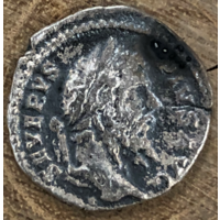 Денарий. Императора Септимий Севера (193 - 211) Аннона - рог изобилия, колосья, зерна  2,47гр.18,6мм.