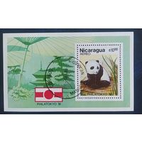 Никарагуа 1981 панда  .