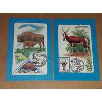 Календарики 1987 Фауна ВОФ Животные на почтовых марках 2 шт. одним лотом