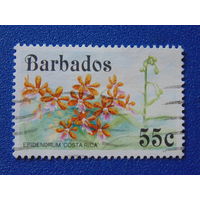Барбадос 1992 г. Цветы.