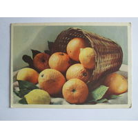 Почтовая карточка 1963 г. "Апельсины и лимоны". Фото Л. Зиверта.