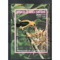 Гвинея Экваториальная-1976(Мих.Бл.237) , гаш. Фауна, Птицы,