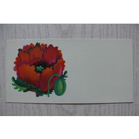Витола С., Поздравительная открытка, Рига, 1979, мини-формат, чистая