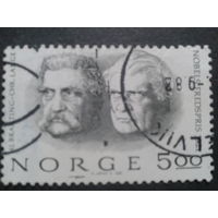 Норвегия 1981 политики