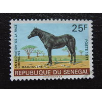 Сенегал 1971 г. Фауна.