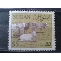 Судан 1962 Стандарт, крупный рогатый скот