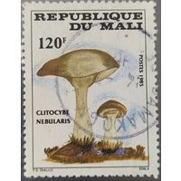 Мали 1985 грибы 1 из 4.