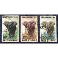 Кот-д'Ивуар. 1959 год. Слоны, полная серия 3 марки. Mi:CI 204-206. Почтовое гашение.