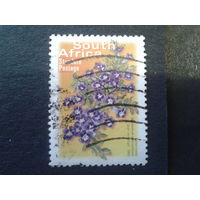 ЮАР 2003 цветы