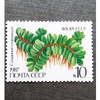 Марка СССР 1987 год Папоротник