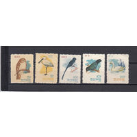 Фауна. Птицы. КНДР. 1962. 5 марок. Michel N 402-406 (30,0 е).