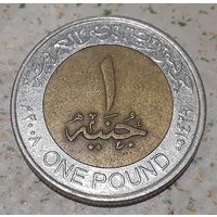 Египет 1 фунт, 2008 (5-5-88)