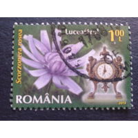 Румыния 2013 часы и цветы