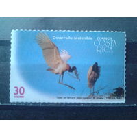 Коста-Рика 1995 Птицы** Михель-2,0 евро