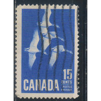 GB Доминион Канада 1963 Гуси канадские Стандарт #357