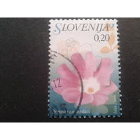 Словения 2007 стандарт, цветы