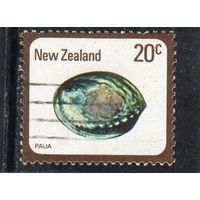 Новая Зеландия. Mi:NZ 760. Радужное морское ушко, морская ракушка Paua (Haliotis iris). Серия: Ракушки и улитки.1978.