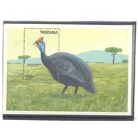 Танзания птицы фазан