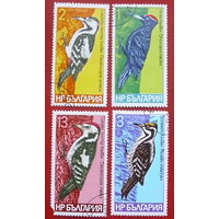 Болгария. Птицы. Дятлы. ( 4 марки ) 1978 года. 4-5.