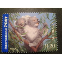 Австралия 2005 коала