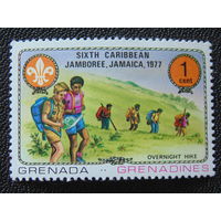 Гренада 1977 г. Скауты, туризм.