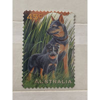 Австралия 1996. Породы собак