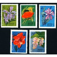 Тропические и субтропические растения СССР 1971 год серия из 5 марок