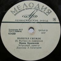 Ирина Бржевская - Полетел снежок / Ничего не вижу (10'', 78 rpm)