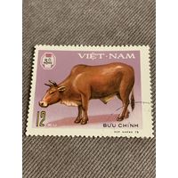Вьетнам 1979. Домашний скот. Буйвол. Марка из серии