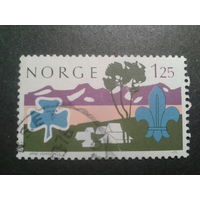 Норвегия 1975 скауты