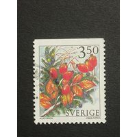 Швеция 1996. Зимние ягоды