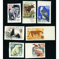 Зоопарк Фауна СССР 1964 год серия из 7 марок