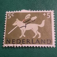 Нидерланды. Собака-поводырь