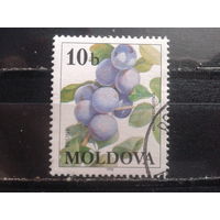 Молдова 1998 Ягоды