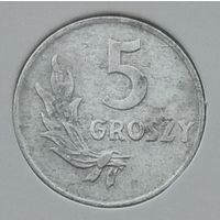 Польша 5 грошей 1949 г. Алюминий. В холдере