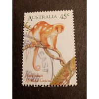 Австралия 1996. Australian Spotted Cuscus