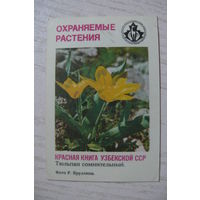 Календарик, 1987, Тюльпан, из серии "Охраняемые растения. Красная книга Узбекской ССР".