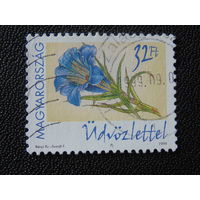 Венгрия 1999 г. Цветы.