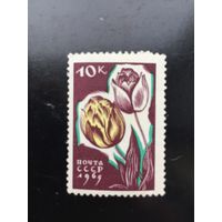 СССР 1965 год. Цветы