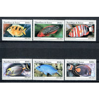 Гвинея - 1997г. - Рыбки - полная серия, MNH [Mi 1645-1650] - 6 марок